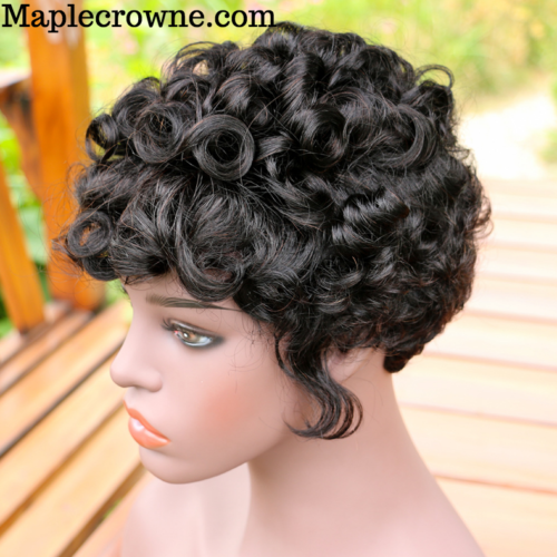 Short Curly Brazilian Human Hair Wig