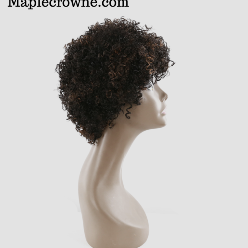 Short Natural Virgin Human Afro Curly Wig