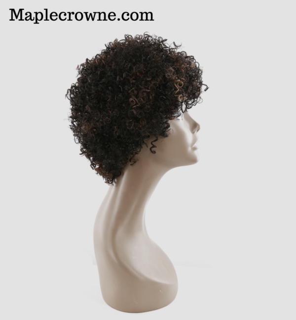 Short Natural Virgin Human Afro Curly Wig